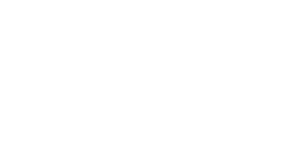Logo Sonfy